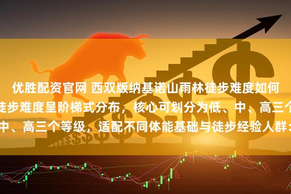 优胜配资官网 西双版纳基诺山雨林徒步难度如何？西双版纳基诺山雨林徒步难度呈阶梯式分布，核心可划分为低、中、高三个等级，适配不同体能基础与徒步经验人群：低难度路线（3