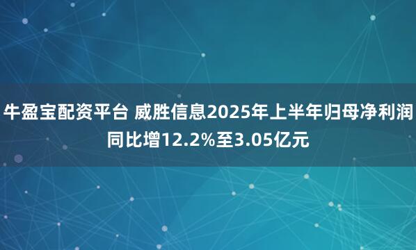 牛盈宝配资平台 威胜信息2025年上半年归母净利润同比增12.2%至3.05亿元