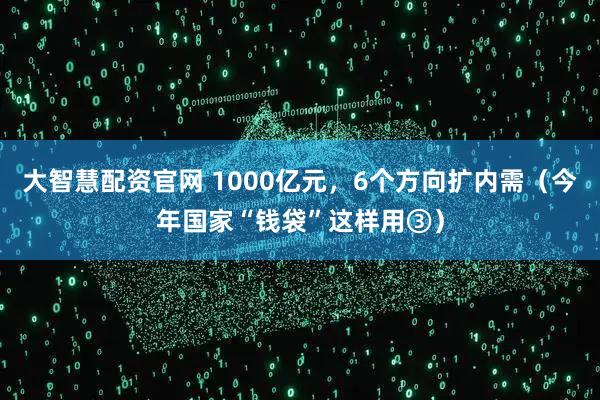 大智慧配资官网 1000亿元，6个方向扩内需（今年国家“钱袋”这样用③）